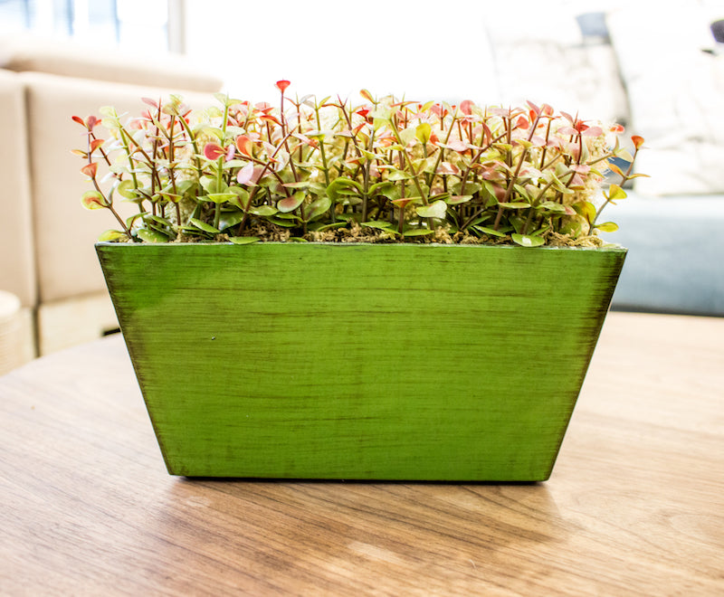 Tipos de materos para decorar tus espacios