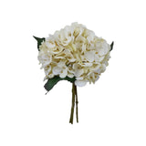 HORTENSIA BLANCA