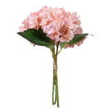 HORTENSIA ROSADA