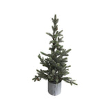 ARBOL PINO ABIERTO