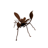 FIGURA AVISPA