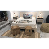 CAMA LISSONE