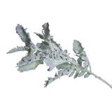 FLOR SENECIO CINERARIA EN TELA