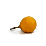 GRANADILLA