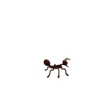 FIGURA HORMIGA