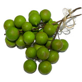MAMONCILLOS