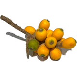 NÍSPEROS