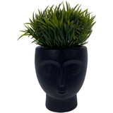 PLANTA SINTETICA CARA NEGRA