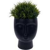 PLANTA SINTETICA CARA NEGRA