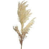 PLUMA BEIGE GRANDE