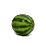 SANDIA
